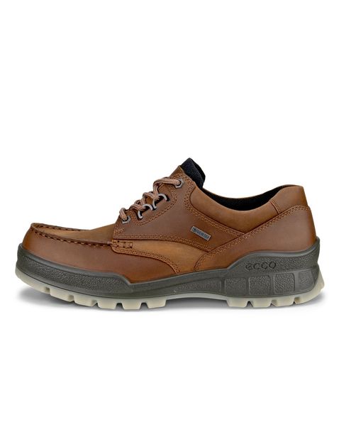 Pantofi outdoor barbati ECCO Track 25 (Brown / Bison)